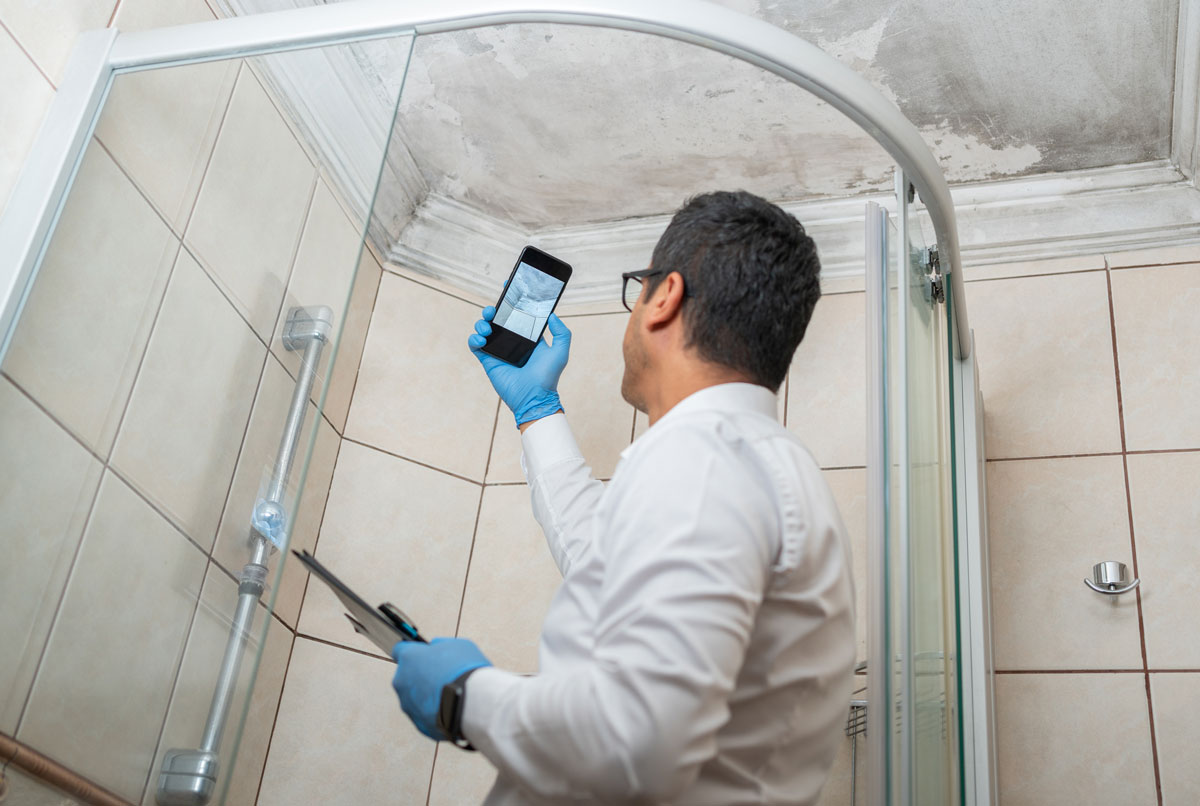 Mold Services